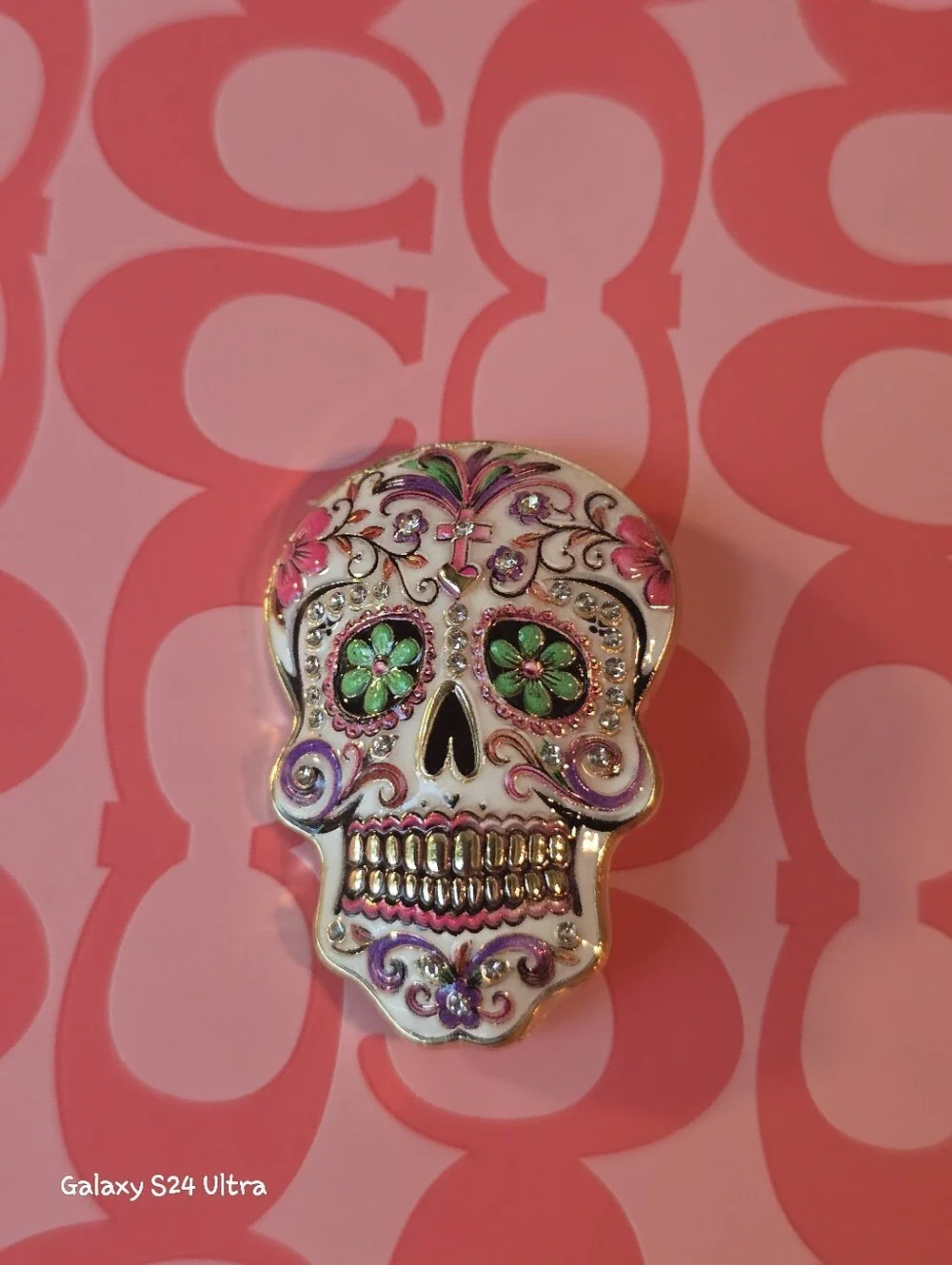 Sugar Skull Brooch NEW